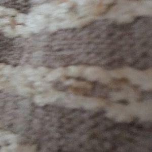 Meet your Posher, Rose